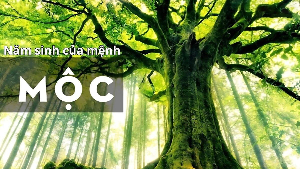 Năm sinh cụ thể của những người thuộc mệnh Mộc theo lịch âm dương