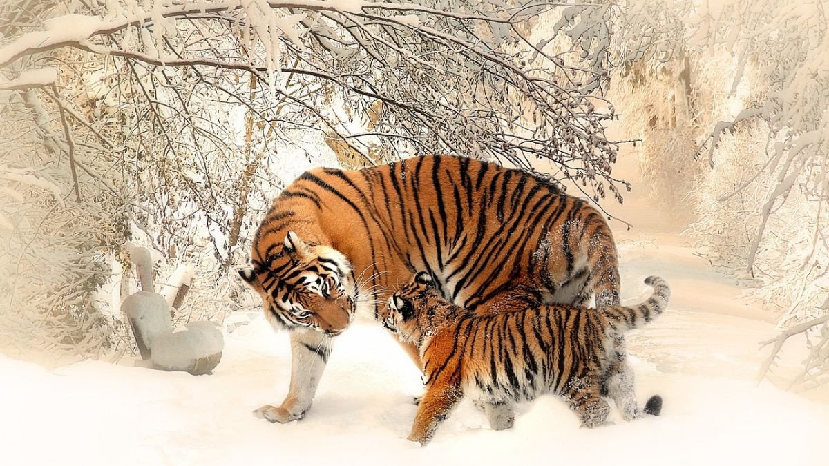 Nam sinh năm 2022 hợp màu gì