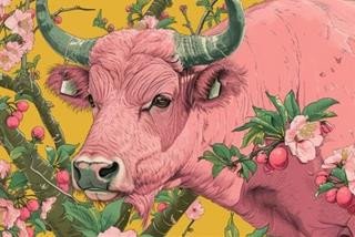 nghiên cứu tử vi phương đông để làm chủ vận mệnh