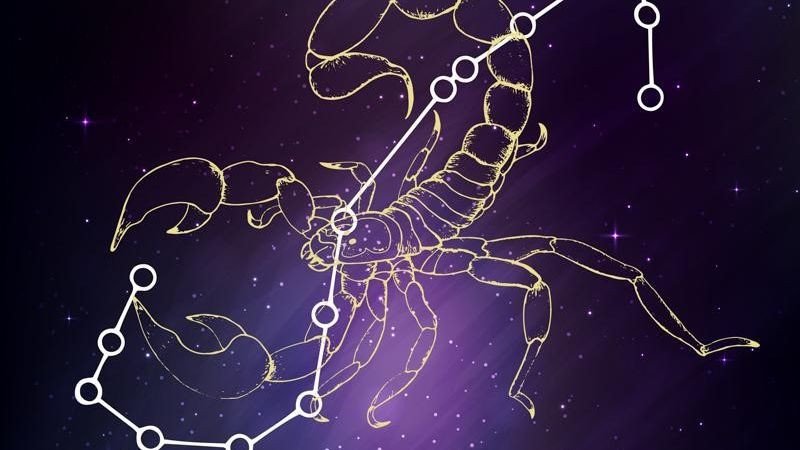 Người đang làm việc, biểu tượng cho con đường sự nghiệp của người sinh 22 tháng 11