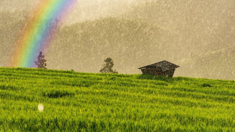 Người sinh năm 1967 thuộc mệnh Thủy Thiên Hà Thủy