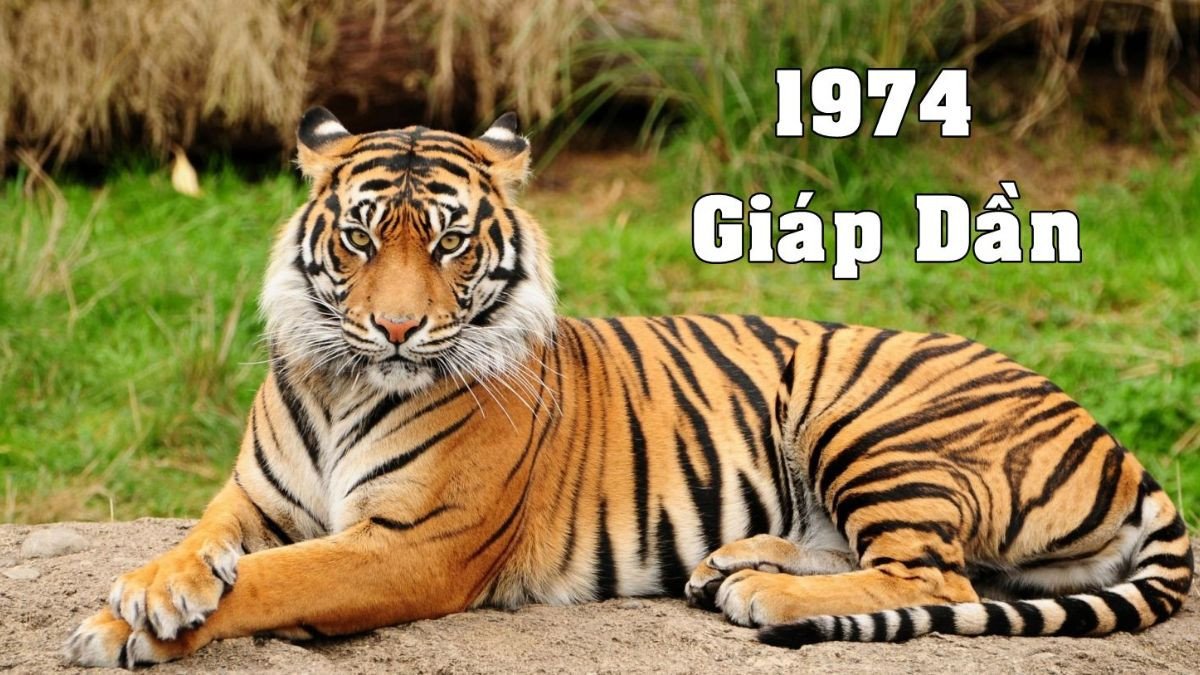 Người sinh năm 1974 thuộc mệnh Đại Khe Thủy