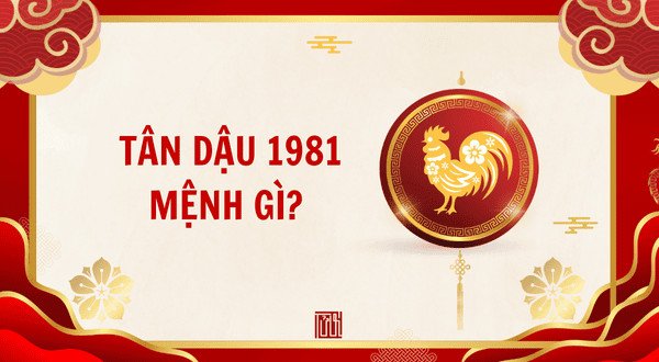 Người sinh năm 1981 trung thực và cẩn thận