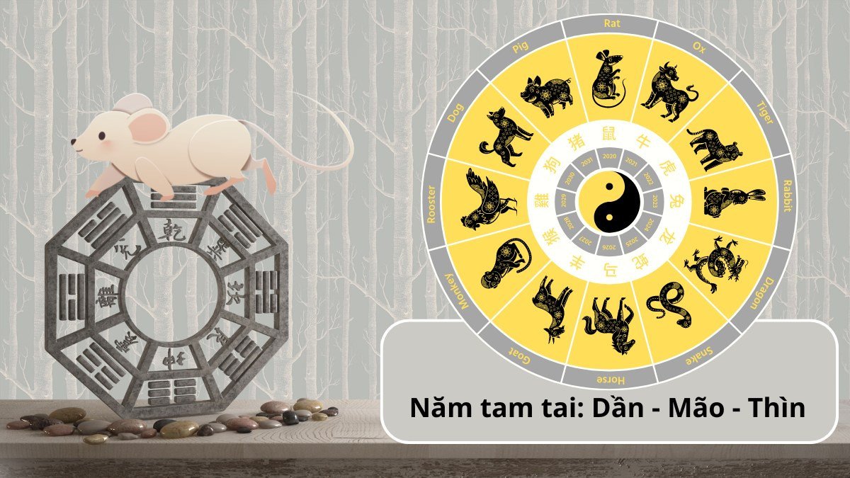 Người sinh năm 1984 Giáp Tý sẽ gặp Tam Tai vào các năm Dần, Mão, Thìn
