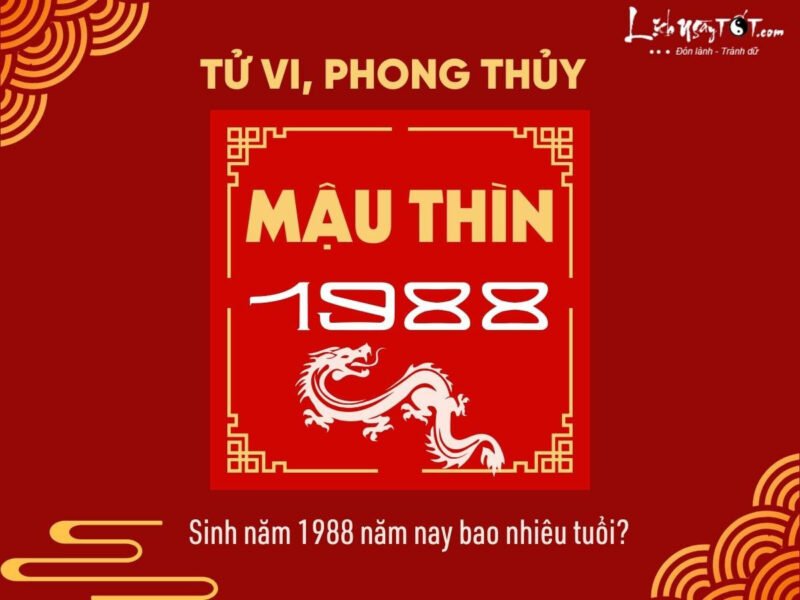 Người sinh năm 1988 Mậu Thìn tuổi Rồng