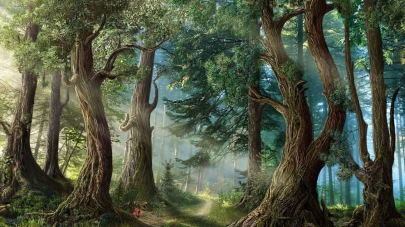 Người sinh năm 1988 thuộc mệnh Đại Lâm Mộc trong ngũ hành.