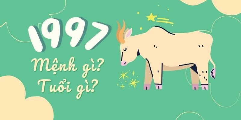 Người sinh năm 1997 cầm tinh con trâu chăm chỉ, chân thành, mang mệnh Giản Hạ Thủy