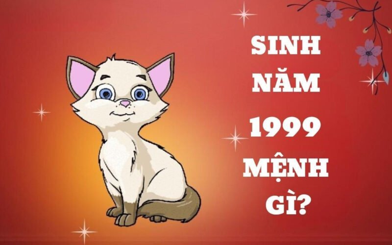 Người sinh năm 1999 cầm tinh con Mèo