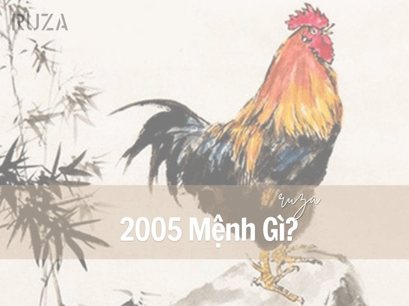 Người sinh năm 2005 mệnh Tuyền Trung Thủy, tìm hiểu tuổi Ất Dậu hợp với tuổi nào.