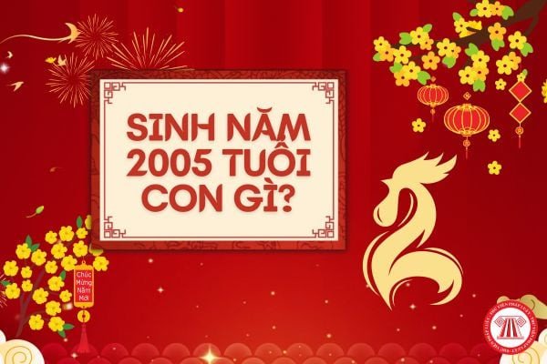 Người sinh năm 2005 thuộc tuổi Ất Dậu mệnh Tuyền Trung Thủy