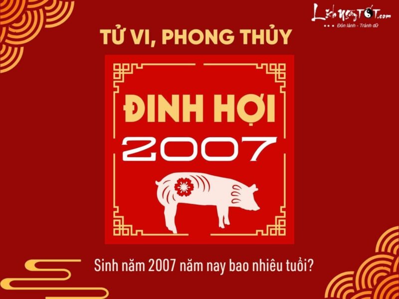 Người sinh năm 2007 Đinh Hợi tuổi con gì và mệnh gì