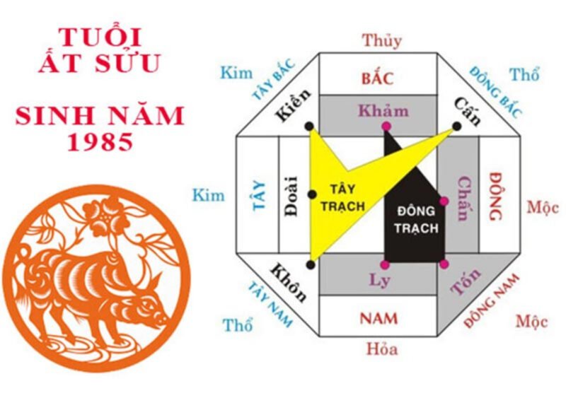 Người tuổi Ất Sửu 1985 thuộc mệnh Kim và cung mệnh khác nhau giữa nam và nữ.