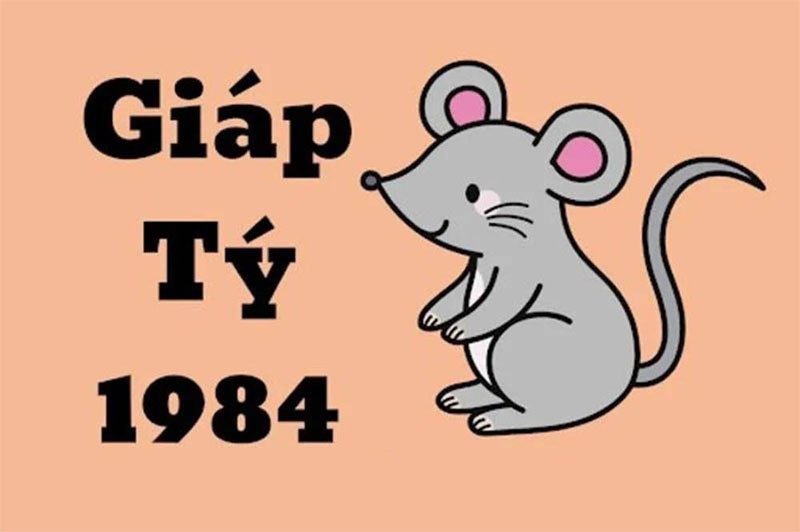 Ysb66