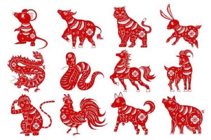 Người tuổi Hợi cần kết hợp với tuổi Mão, tuổi Mùi trong làm ăn