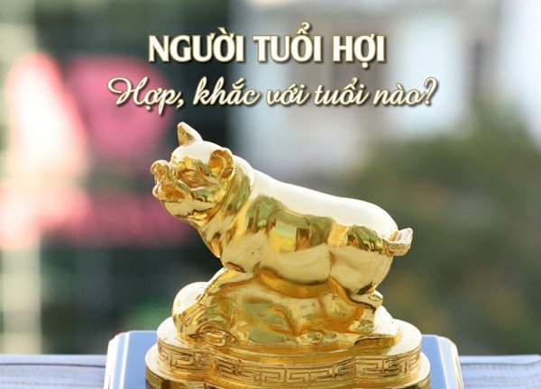 Người tuổi Hợi hợp với các tuổi Dậu, Mùi và Mão trong các mối quan hệ