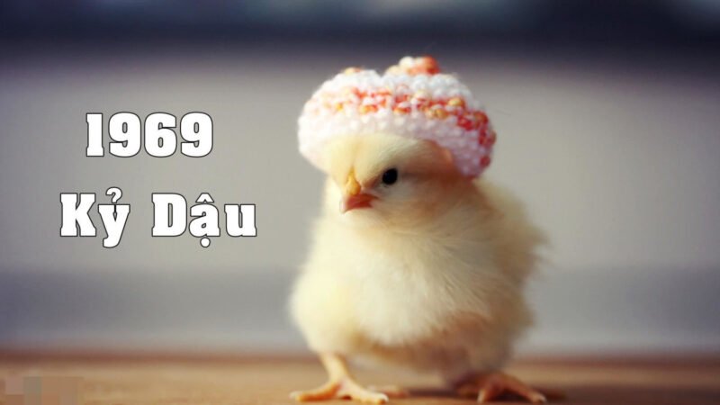 Người tuổi Kỷ Dậu 1969 thuộc mệnh Thổ Đại Trạch Thổ
