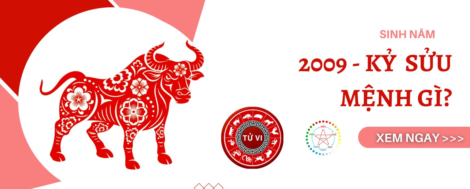 Người tuổi Kỷ Sửu 2009 mệnh Hỏa hợp màu đỏ, hồng, tím mang lại năng lượng tích cực