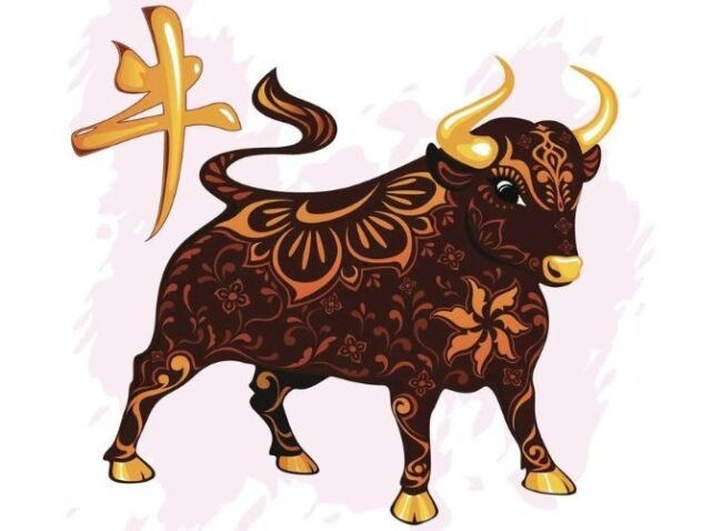 Người tuổi Kỷ Sửu là tuổi Trâu, biểu tượng cho sự kiên định.