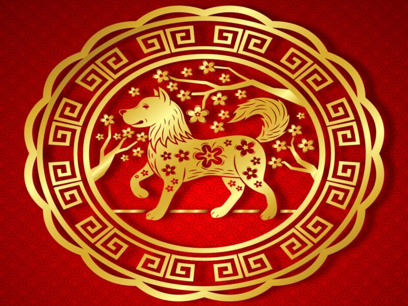 Người tuổi Mậu Tuất 1958 mệnh Bình Địa Mộc, giải mã vận mệnh qua phong thủy