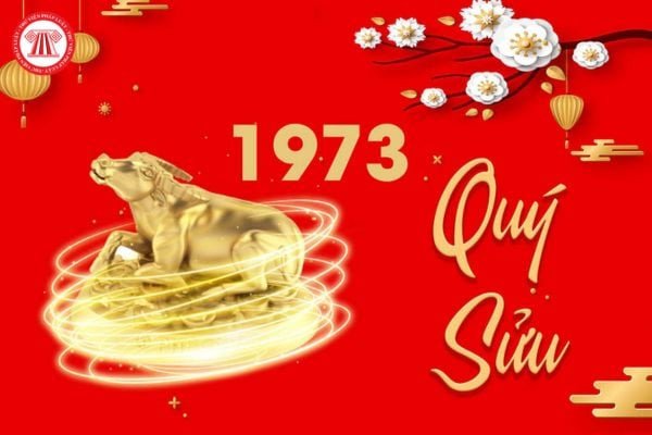 Người tuổi Quý Sửu năm 1973 nhìn vào bảng đồ tử vi để dự đoán vận hạn năm 2025