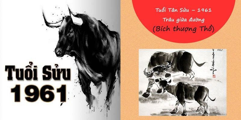 Người tuổi Tân Sửu 1961 mệnh Thổ hợp màu vàng, nâu đất để tăng vượng khí