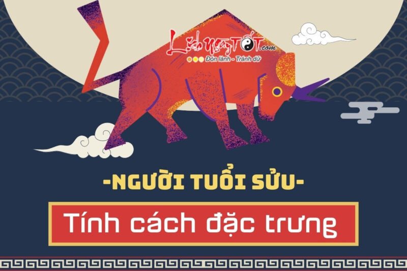 Người tuổi Trâu mệnh gì có tính cách chăm chỉ, kiên định