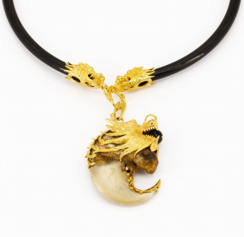 Người tuổi Tý cẩn trọng lựa chọn móng gấu phong thủy, tránh xung khắc