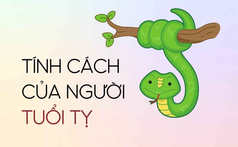 Người tuổi Tỵ luôn duy trì sự bình tĩnh và kiểm soát cảm xúc tốt, yếu tố quan trọng khi xét tuổi tỵ hợp màu gì nhất.