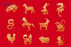 Người tuổi Tý, Sửu, Tỵ, Ngọ, Mùi, Thân, Dậu, Tuất, Hợi nên tránh đeo móng hổ để tránh vận hạn