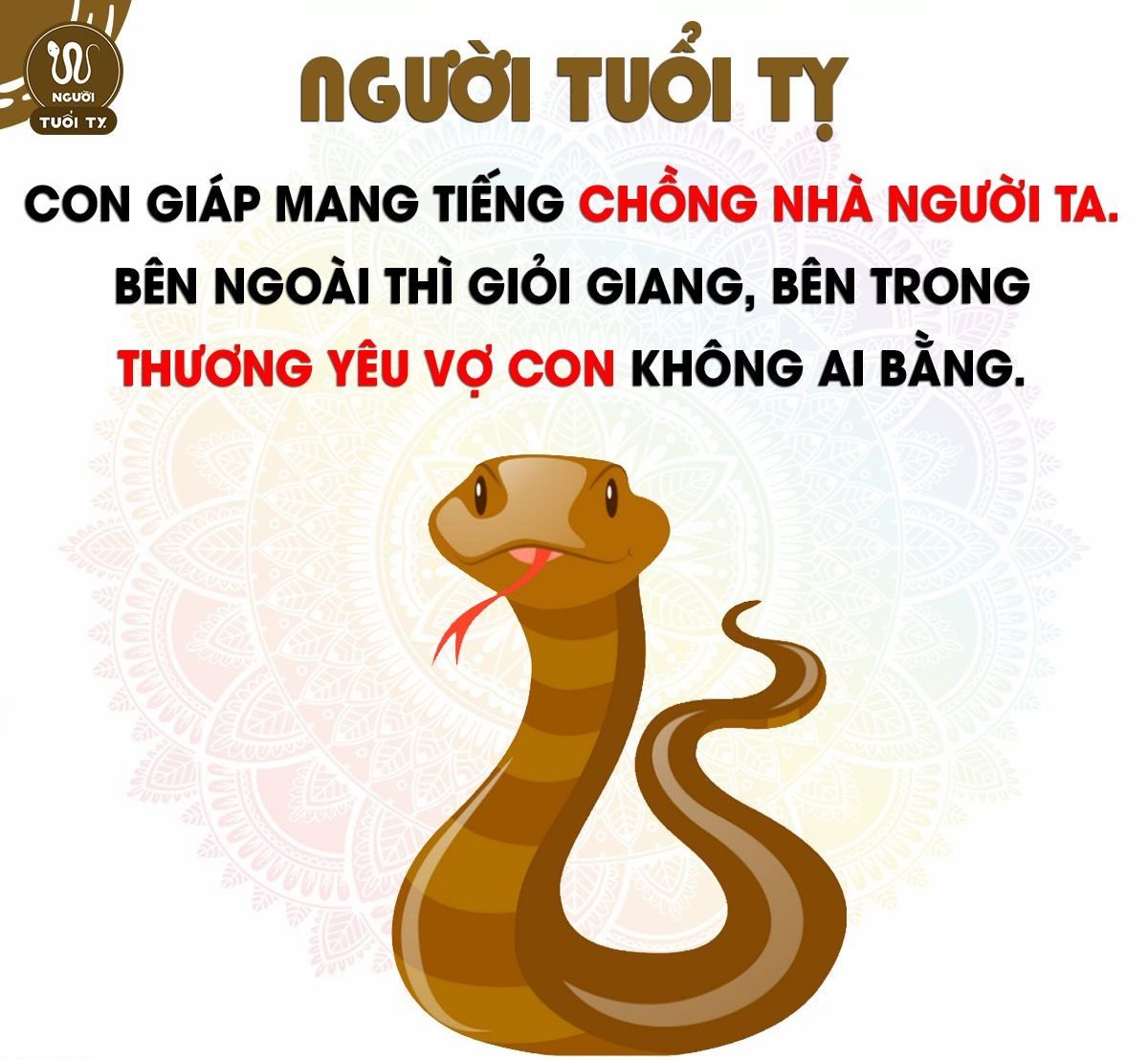 Người tuổi Tỵ thường có vẻ ngoài lạnh lùng nhưng rất tình cảm và sâu sắc, ảnh hưởng đến lựa chọn màu sắc để cân bằng năng lượng khi tìm hiểu tuổi tỵ hợp màu gì nhất.