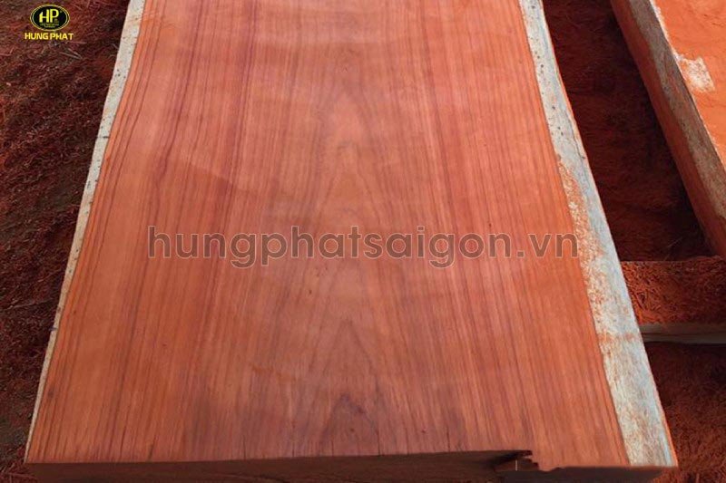 Nguồn gốc và đặc tính của gỗ hương vân Nam Phi