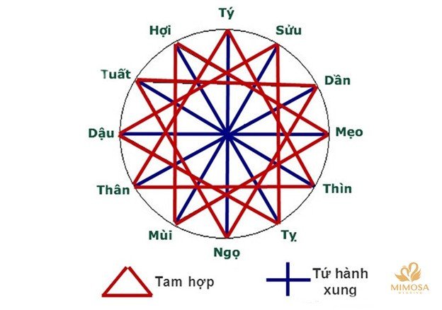 Nguyên lý Tam Hợp Tứ Hành Xung áp dụng cho tuổi Kỷ Mão 1999