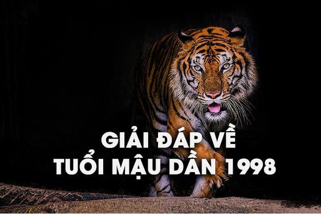 Những điều cần tránh khi gặp hạn Địa Võng của người 25 tuổi là tuổi con gì