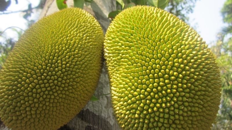Những loại quả có gai nhọn, xù xì không phù hợp làm lễ vật cúng rằm tháng 7