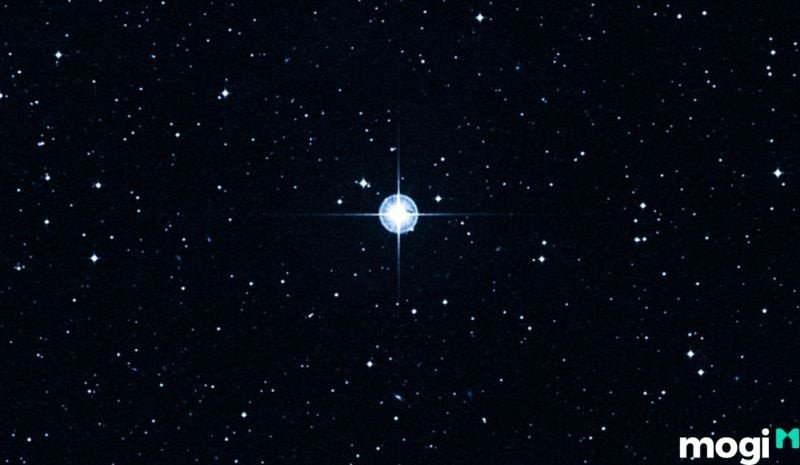 Những trường hợp đặc biệt khi tuần triệt trong tử vi xuất hiện