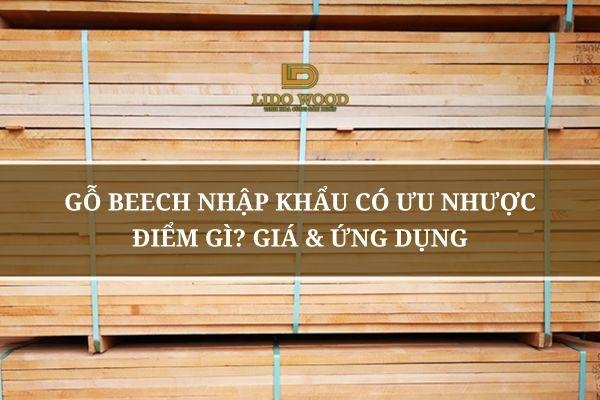 Beech là gỗ gì khám phá ứng dụng gỗ Beech trong thiết kế bàn ghế nội thất hiện đại, tinh tế