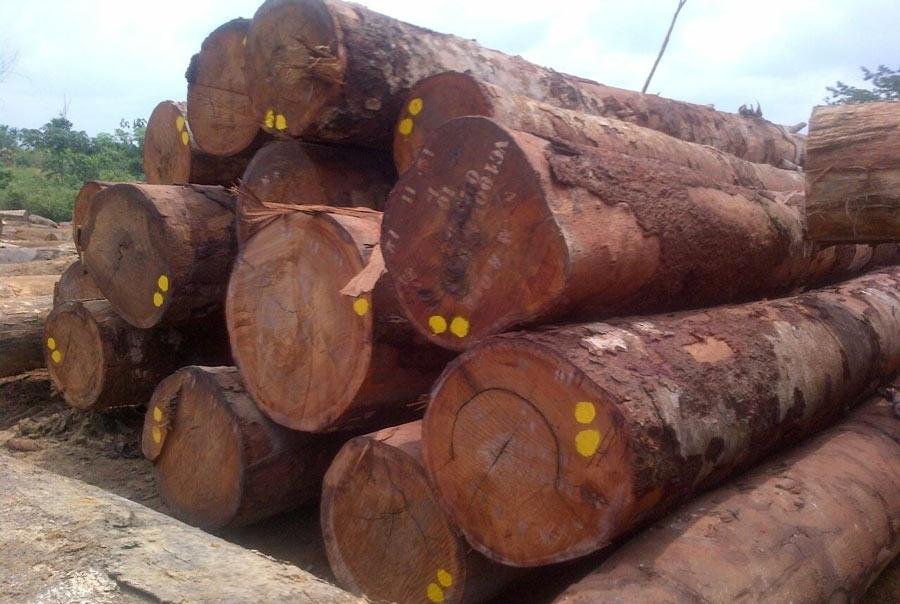 Bộ bàn ghế phòng khách chế tác từ gỗ Okan với thiết kế tinh xảo và sang trọng