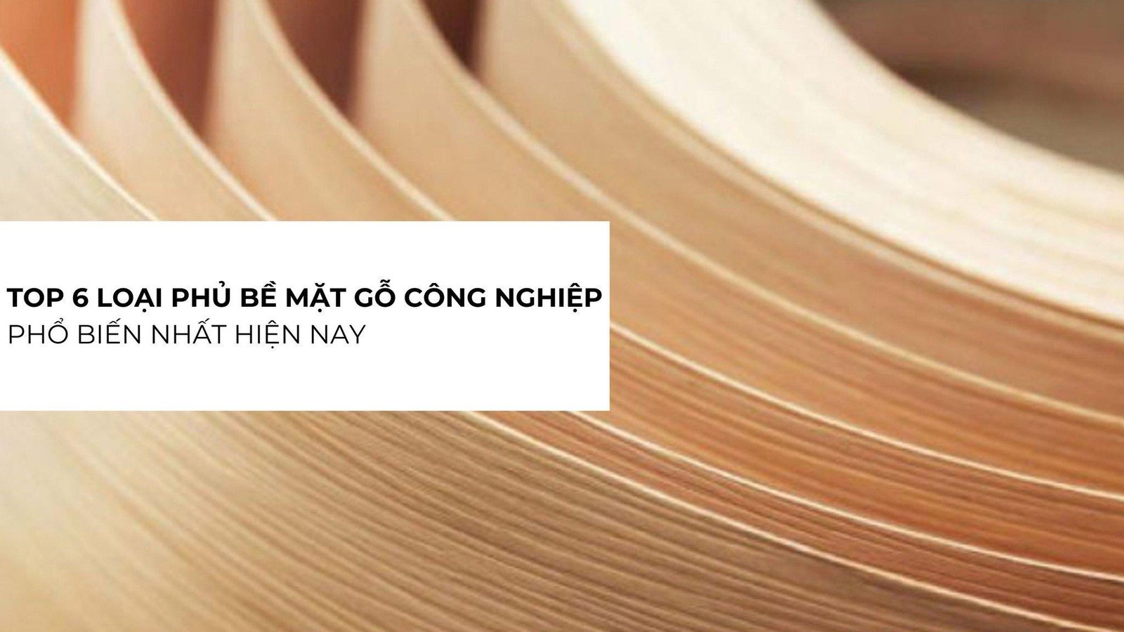 Nội thất phòng khách hiện đại và sang trọng làm từ gỗ ván MDF phủ melamine màu vân gỗ tự nhiên