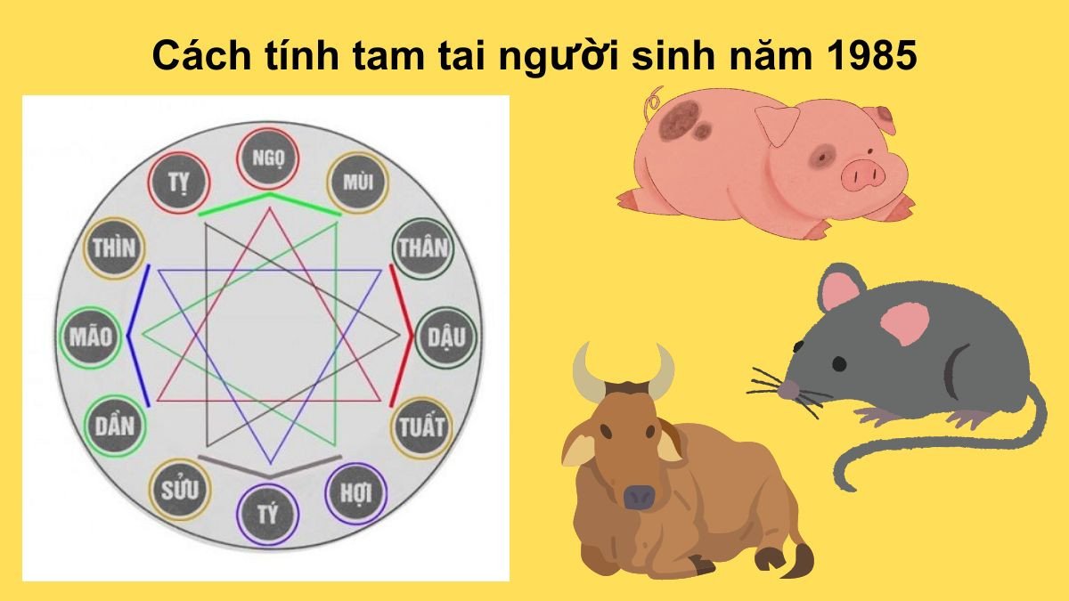 Nữ Ất Sửu 1985 cần cẩn trọng trong những năm hạn Tam Tai (Hợi, Tý, Sửu)