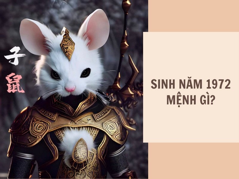 Nữ Nhâm Tý 1972 Thuộc Tuổi Và Mệnh Gì?