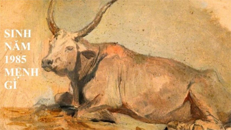 Phái nữ sinh năm 1985 mệnh Hải Trung Kim, biểu tượng của vàng trong biển