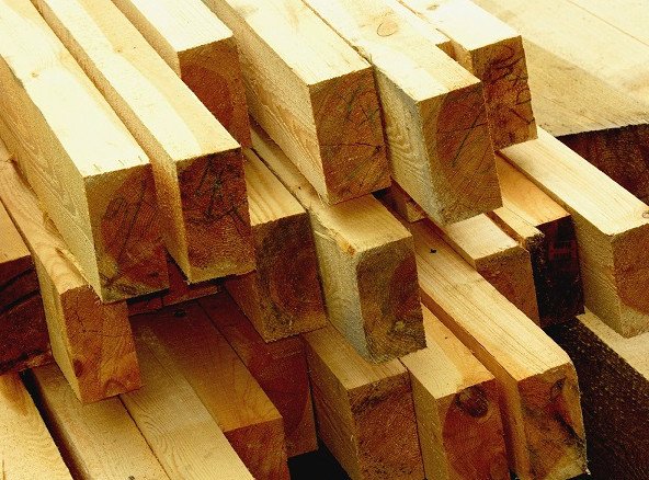 Phân loại gỗ sử dụng làm pallet