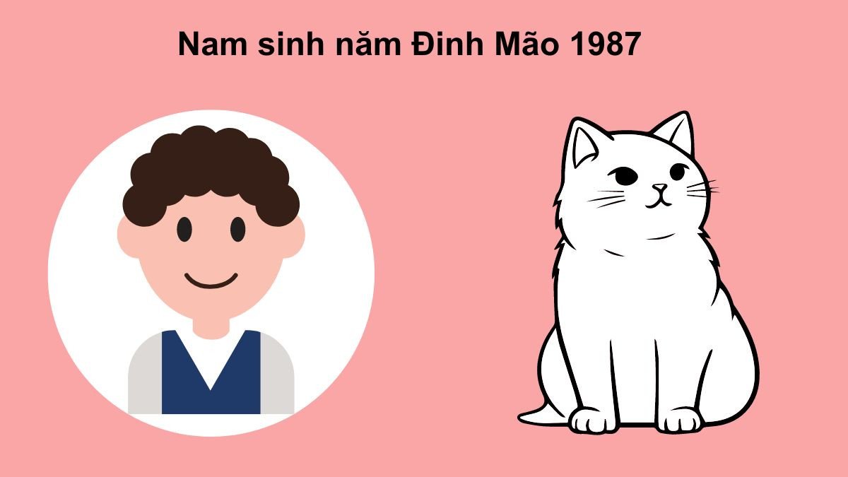 Phân tích tính cách đặc trưng của nam giới sinh năm Đinh Mão 1987.