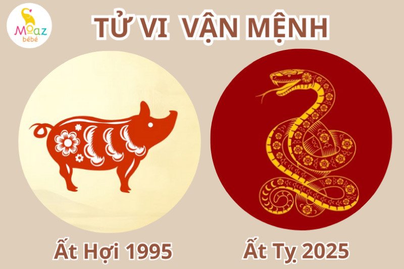 Phân tích tử vi tổng quan để biết tuổi Hợi đẻ con tuổi gì hợp, đặc biệt là tuổi Ất Hợi 1995 và Ất Tỵ 2025.