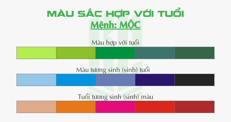Phong thủy màu sắc hợp người tuổi Mậu Tuất mệnh Mộc