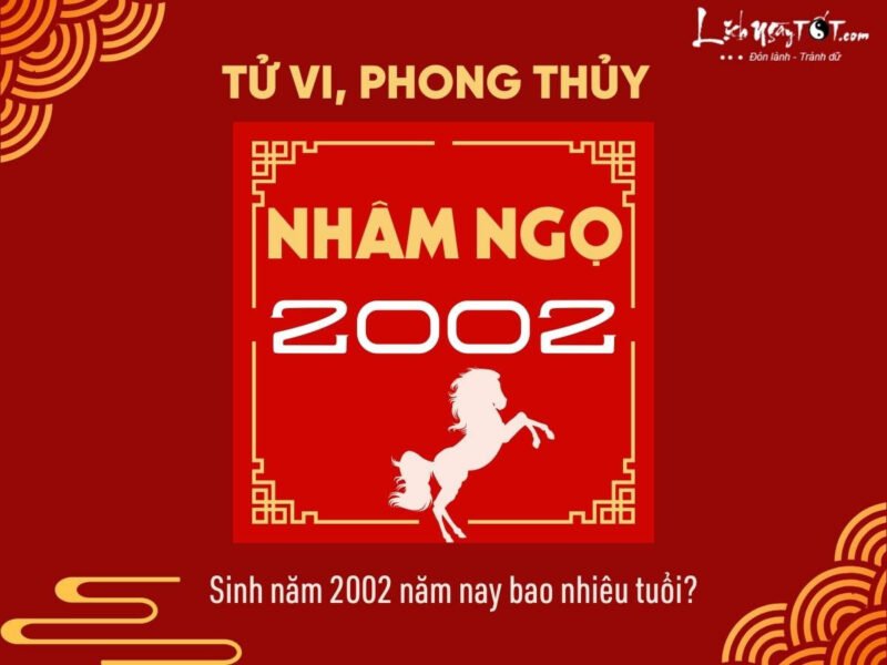 Phong thủy người sinh năm 2002 tuổi con gì và bao nhiêu tuổi