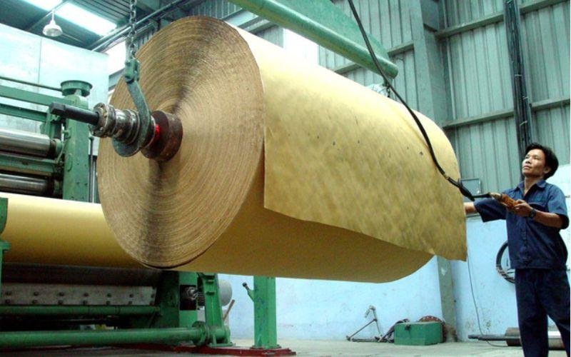 Quy trình sản xuất giấy công nghiệp từ nguyên liệu gỗ thô