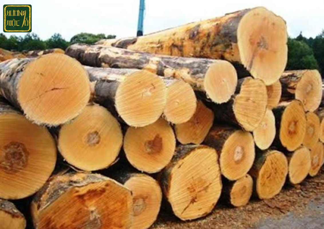 Tác phẩm điêu khắc tinh xảo từ gỗ nhai bách với vân gỗ độc đáo và màu sắc ấm áp.