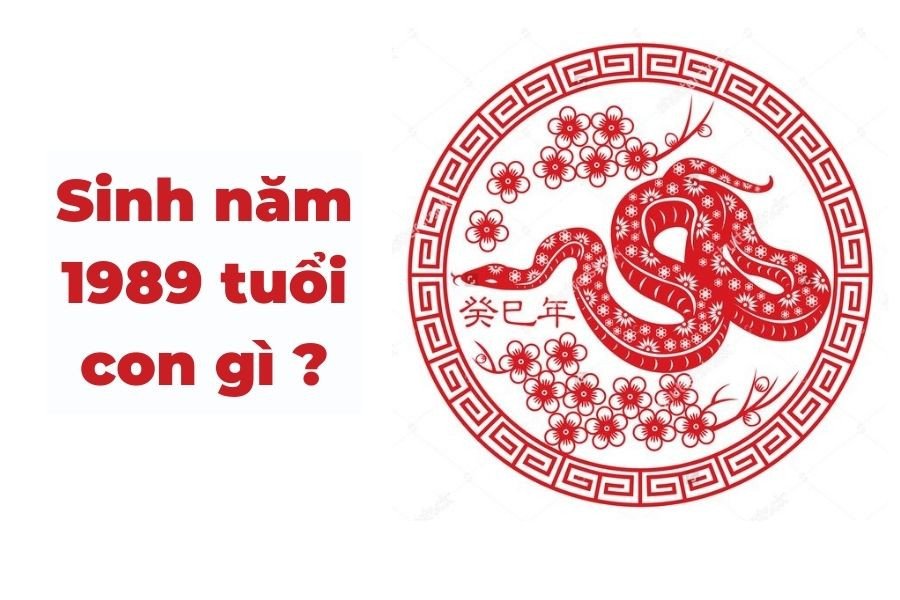 Sinh năm 1989 có Thiên Can Kỷ Địa Chi Tỵ thuộc tuổi Kỷ Tỵ