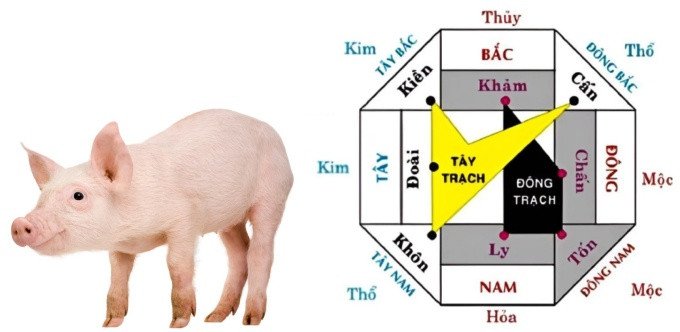 Sinh năm 2007 là mệnh gì cần lựa chọn hướng xây nhà phù hợp để hanh thông vận khí